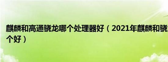 麒麟和高通骁龙哪个处理器好（2021年麒麟和骁龙处理器哪个好）