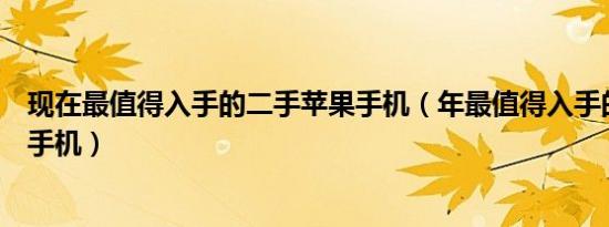 现在最值得入手的二手苹果手机（年最值得入手的二手苹果手机）