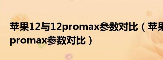 苹果12与12promax参数对比（苹果12和12promax参数对比）