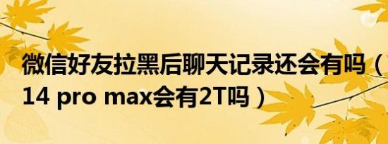 微信好友拉黑后聊天记录还会有吗（iphone 14 pro max会有2T吗）