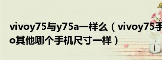 vivoy75与y75a一样么（vivoy75手机与vivo其他哪个手机尺寸一样）