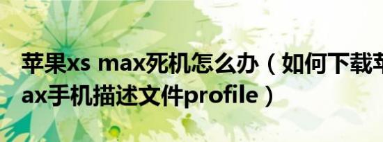 苹果xs max死机怎么办（如何下载苹果xs max手机描述文件profile）