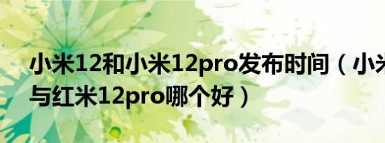 小米12和小米12pro发布时间（小米12pro与红米12pro哪个好）