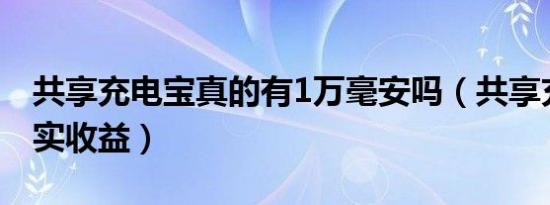 共享充电宝真的有1万毫安吗（共享充电宝真实收益）