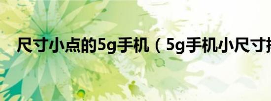 尺寸小点的5g手机（5g手机小尺寸排行）