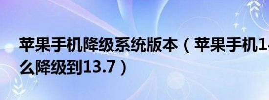 苹果手机降级系统版本（苹果手机14系统怎么降级到13.7）