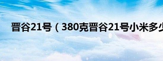 晋谷21号（380克晋谷21号小米多少元）