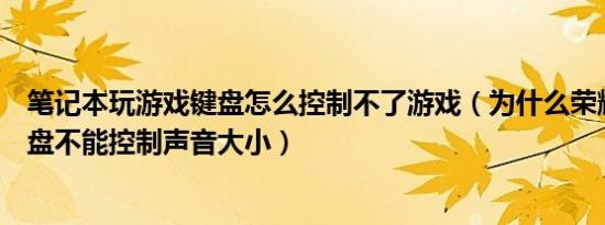 笔记本玩游戏键盘怎么控制不了游戏（为什么荣耀笔记本键盘不能控制声音大小）