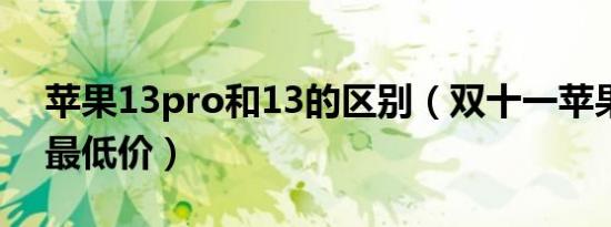 苹果13pro和13的区别（双十一苹果13pro最低价）