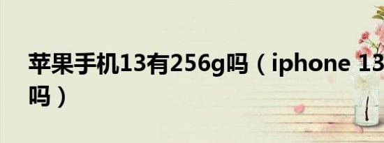 苹果手机13有256g吗（iphone 13有256g吗）