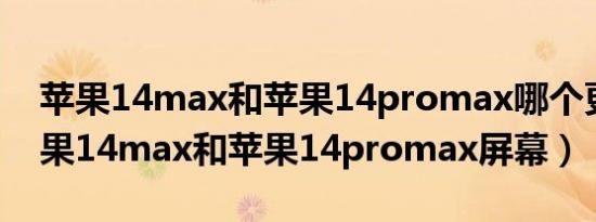 苹果14max和苹果14promax哪个更好（苹果14max和苹果14promax屏幕）