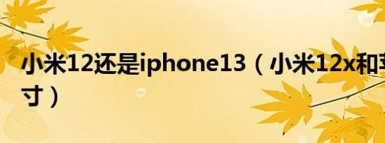 小米12还是iphone13（小米12x和苹果se尺寸）