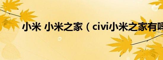 小米 小米之家（civi小米之家有吗）