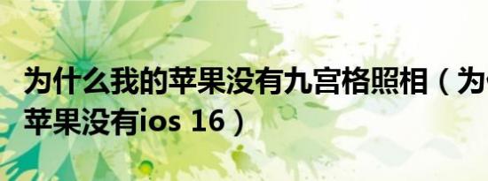 为什么我的苹果没有九宫格照相（为什么我的苹果没有ios 16）