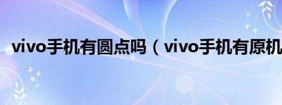 vivo手机有圆点吗（vivo手机有原机膜吗）