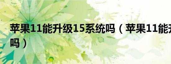 苹果11能升级15系统吗（苹果11能升级16.3吗）