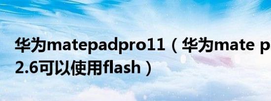 华为matepadpro11（华为mate pad pro12.6可以使用flash）