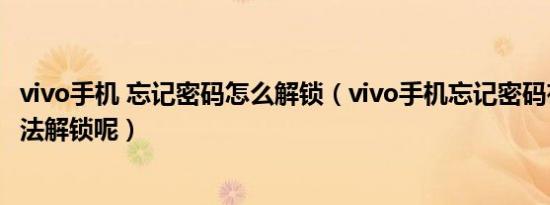 vivo手机 忘记密码怎么解锁（vivo手机忘记密码有哪几种方法解锁呢）