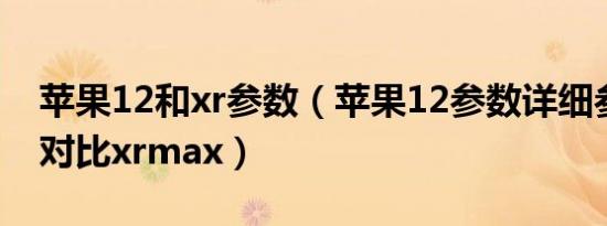 苹果12和xr参数（苹果12参数详细参数配置对比xrmax）