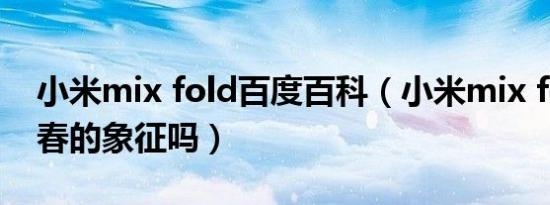 小米mix fold百度百科（小米mix fold是青春的象征吗）