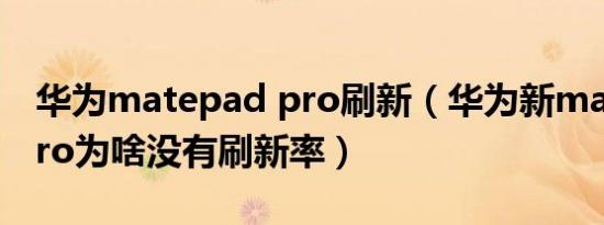 华为matepad pro刷新（华为新matepadpro为啥没有刷新率）