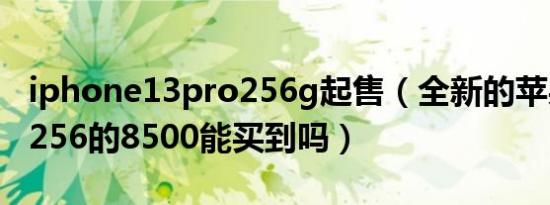 iphone13pro256g起售（全新的苹果13Pr0256的8500能买到吗）