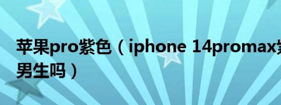 苹果pro紫色（iphone 14promax紫色适合男生吗）