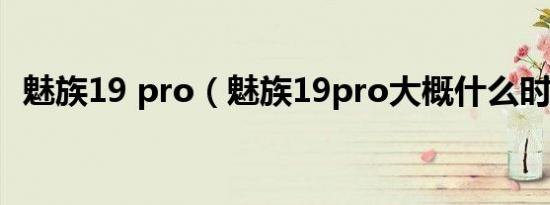 魅族19 pro（魅族19pro大概什么时候出）