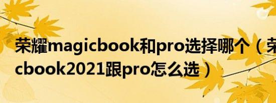 荣耀magicbook和pro选择哪个（荣耀magicbook2021跟pro怎么选）