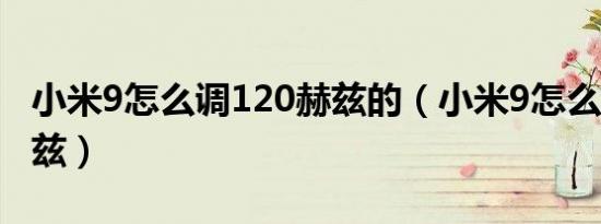 小米9怎么调120赫兹的（小米9怎么调120赫兹）