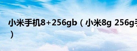 小米手机8+256gb（小米8g 256g手机价格）