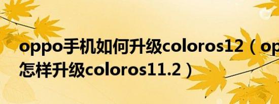 oppo手机如何升级coloros12（oppo手机怎样升级coloros11.2）