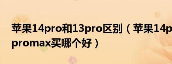 苹果14pro和13pro区别（苹果14pro 和14promax买哪个好）