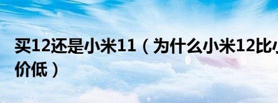 买12还是小米11（为什么小米12比小米11定价低）