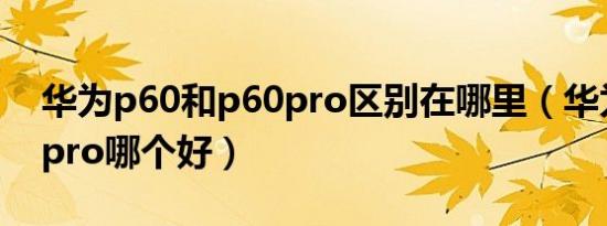 华为p60和p60pro区别在哪里（华为p60和pro哪个好）