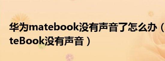 华为matebook没有声音了怎么办（华为MateBook没有声音）