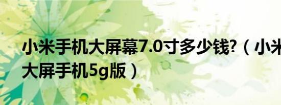 小米手机大屏幕7.0寸多少钱?（小米7.39寸大屏手机5g版）