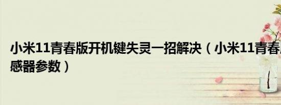 小米11青春版开机键失灵一招解决（小米11青春版的图像传感器参数）