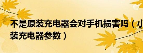 不是原装充电器会对手机损害吗（小米11原装充电器参数）