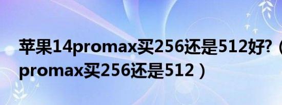 苹果14promax买256还是512好?（苹果14promax买256还是512）