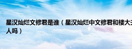 星汉灿烂文修君是谁（星汉灿烂中文修君和楼大夫人是一个人吗）