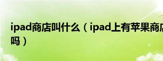 ipad商店叫什么（ipad上有苹果商店是官网吗）