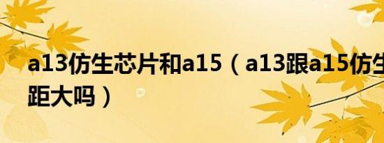 a13仿生芯片和a15（a13跟a15仿生芯片差距大吗）