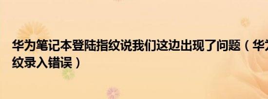 华为笔记本登陆指纹说我们这边出现了问题（华为笔记本指纹录入错误）