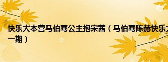 快乐大本营马伯骞公主抱宋茜（马伯骞陈赫快乐大本营上哪一期）