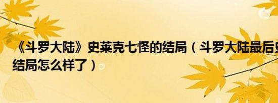 《斗罗大陆》史莱克七怪的结局（斗罗大陆最后史莱克七怪结局怎么样了）