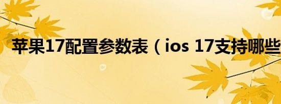 苹果17配置参数表（ios 17支持哪些机型）