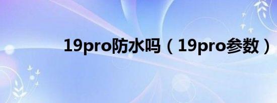 19pro防水吗（19pro参数）