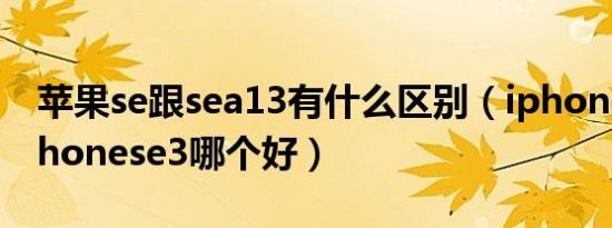 苹果se跟sea13有什么区别（iphone13和iphonese3哪个好）