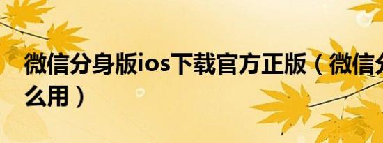 微信分身版ios下载官方正版（微信分身版怎么用）